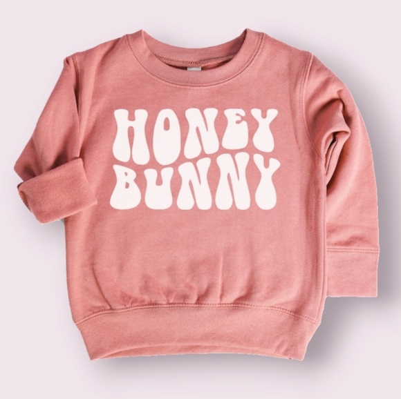 Rabbit Skins Other - 🛍️👗 2 for $20 Honey Bunny Sweatshirt -  size 2T - NWOT